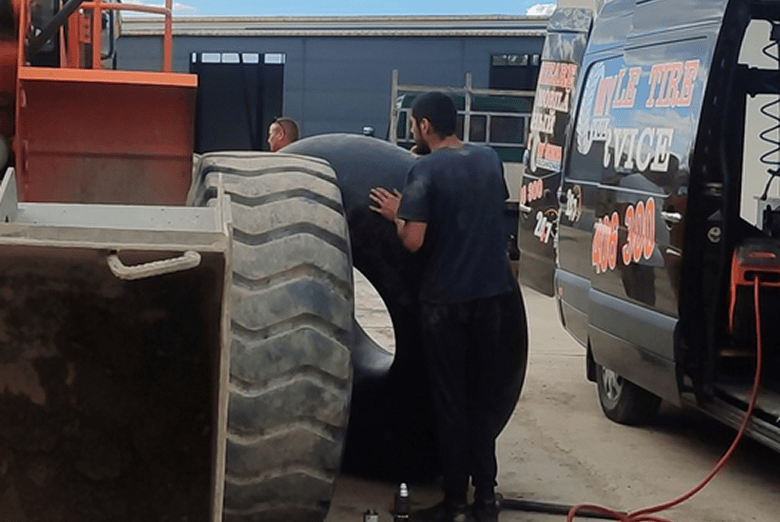 O imagine reprezentativa